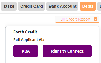 Debts Subtab to Pull Credit Report Dropdown 1 Feb2024.png