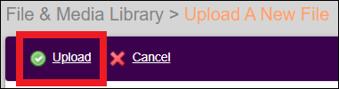 File Upload Button May2024.png