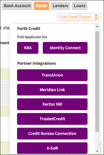 Xactus360 Pull Credit Report option Debts Subtab Dec2024.png