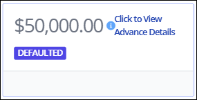 CTX Portal Financials Advances Page Details View Apr2025.png